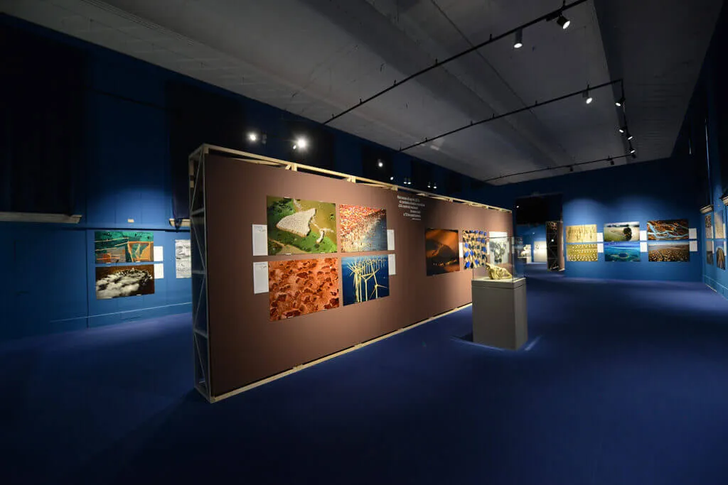 Yann Arthus-Bertrand. La Terra vista dal cielo, Milano
