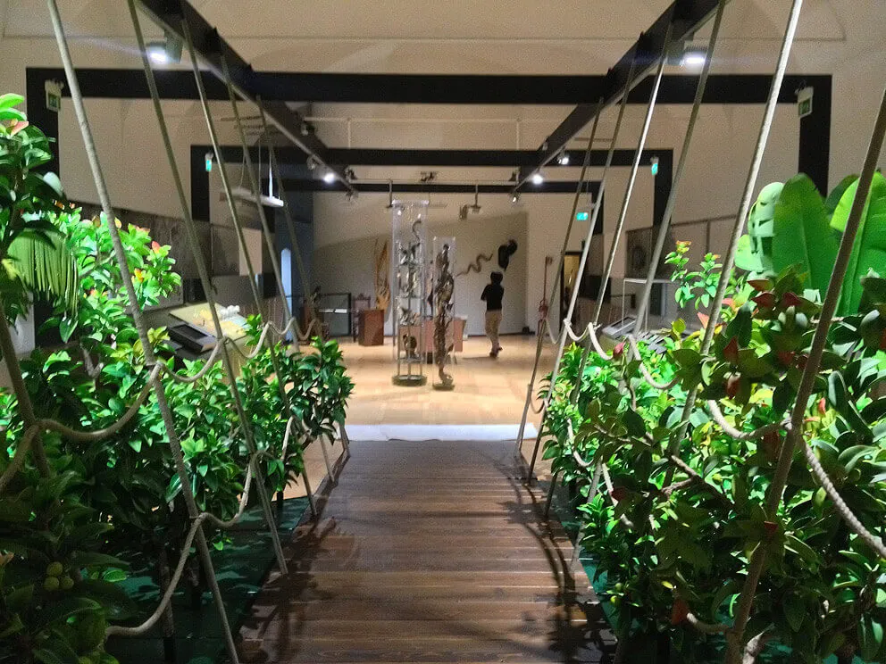 Ponte · Museo di Scienze