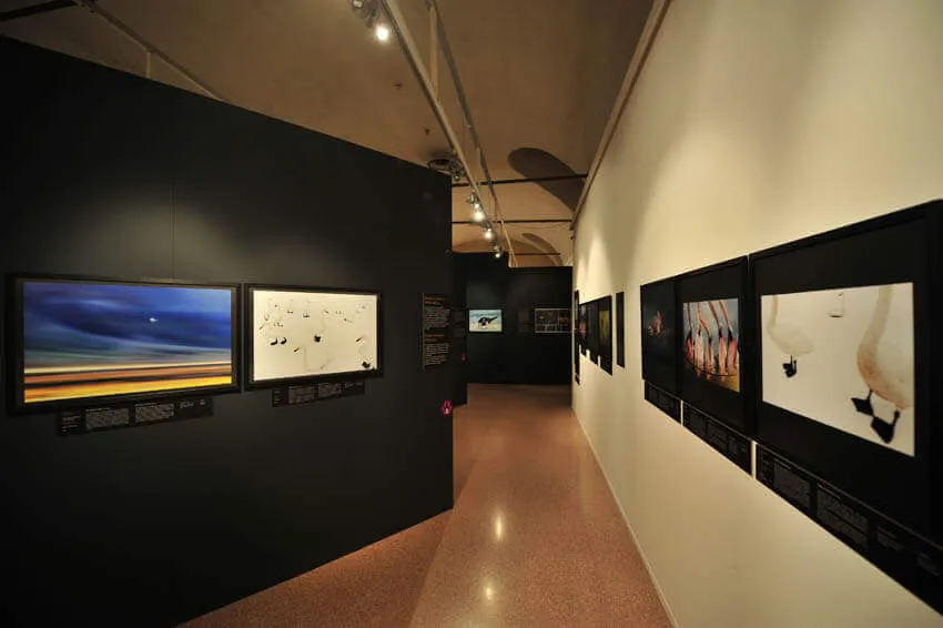 Selvatica. Arte e Natura in Festival, Palazzo Gromo Losa, Biella
